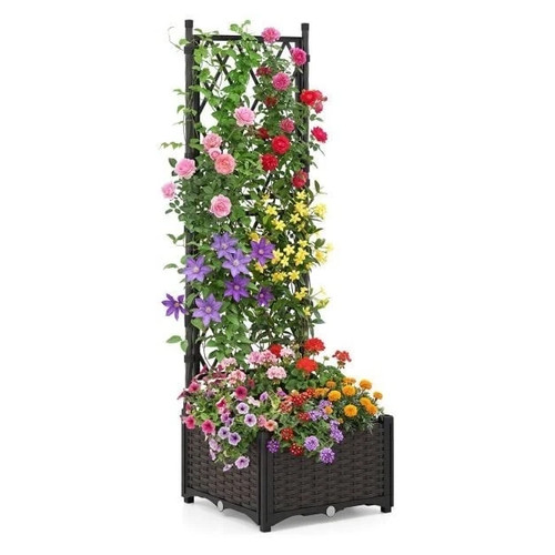Raised garden bed - bed, trellis