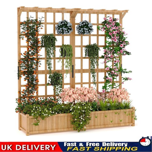 Raised garden bed with - raised,