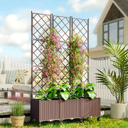 Raised garden bed with - garden,